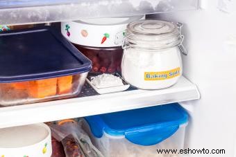 Cuando un refrigerador huele mal (incluso después de limpiarlo):10 soluciones fáciles