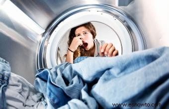 Los 7 mejores limpiadores de lavadora para una frescura poderosa 