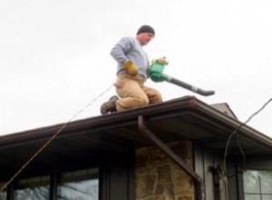 Las Mejores Herramientas para Limpiar Canalones: Guía Experta con Recomendaciones y Consejos de Seguridad