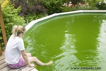 Cómo limpiar rápidamente una piscina verde para el verano