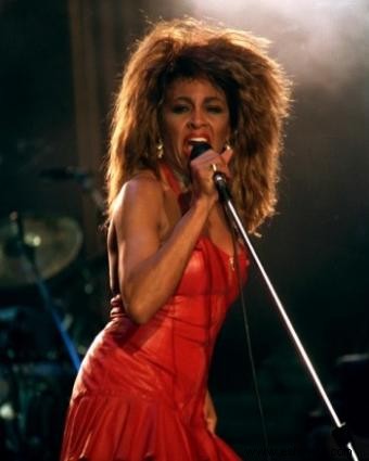 Disfraz de Tina Turner