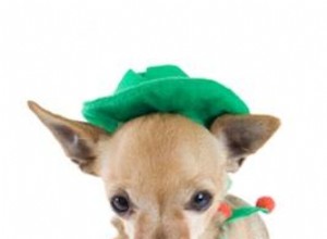 Disfraces de Duende Navideño: Guía Completa con Ideas Clásicas, Variaciones y Tutoriales DIY