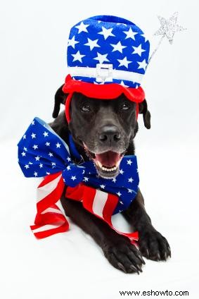 Disfraces patrióticos para perros