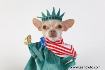 Disfraces patrióticos para perros