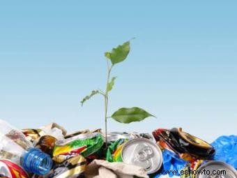 Beneficios del Reciclaje 