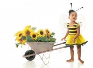 Ideas Creativas para Disfraces de Abejorros: Compra o Hazlos Tú Mismo