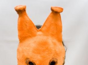 Guía Completa de Disfraces de Ardilla: Compra Profesional o Hazlo Tú Mismo