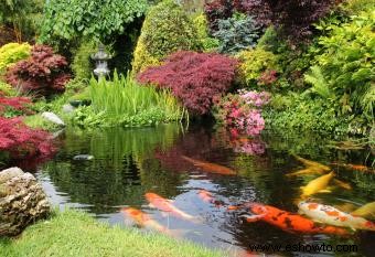 Accesorios de agua en el patio trasero para un feng shui positivo