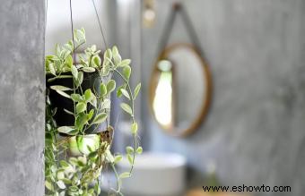 Las mejores plantas de baño para un feng shui favorable