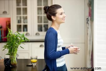 Plantas y flores de cocina Feng Shui