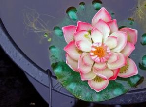 Símbolos Auspiciosos de Felicidad en Feng Shui: Guía Experta para Atraer Abundancia y Armonía