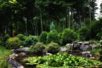 Consejos de Feng Shui para un jardín propicio