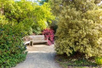 Consejos de Feng Shui para un jardín propicio