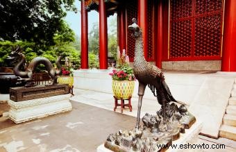 La mitología del Fénix en el Feng Shui