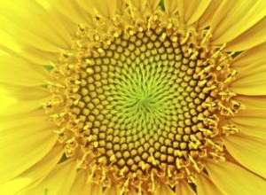 Comprender la secuencia numérica de Fibonacci