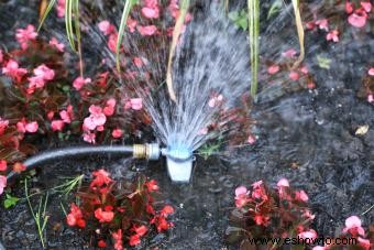 8 métodos comprobados para prevenir las malas hierbas en su jardín