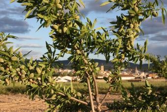 Almendros