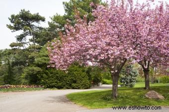 Almendros