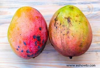 Enfermedades del árbol de mango