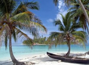 Palmeras: Guía Completa de Tipos, Cuidados, Enfermedades y Curiosidades