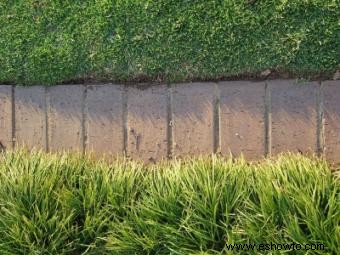 Ladrillos como borde de jardín