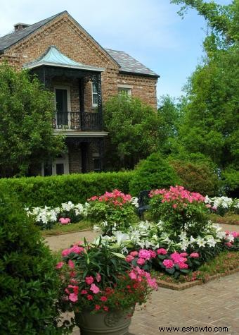 Entrevista al horticultor de Bellingrath Gardens