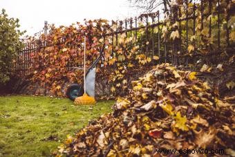 Consejos para el cuidado del césped en otoño para que su césped tenga un comienzo saludable