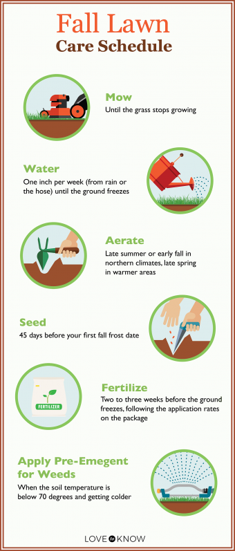 Consejos para el cuidado del césped en otoño para que su césped tenga un comienzo saludable