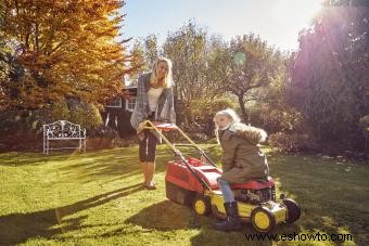 Consejos para el cuidado del césped en otoño para que su césped tenga un comienzo saludable