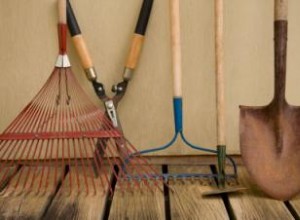 Guía Completa para Armar tu Kit Esencial de Herramientas de Jardín