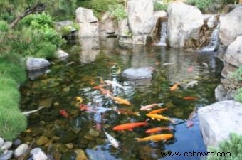 Aireador de agua para jardín