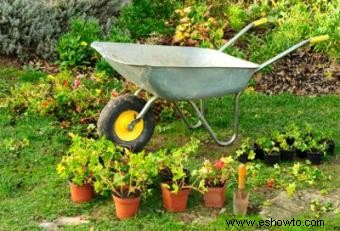 5 catálogos de jardines favoritos