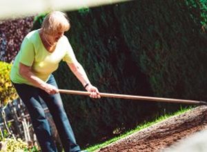 Guía práctica: Cómo quitar rocas del jardín de forma fácil y eficiente