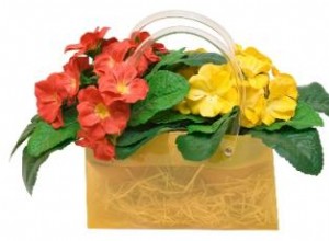 Regalos Ideales para Jardineros: Ideas Prácticas y Creativas para Navidad