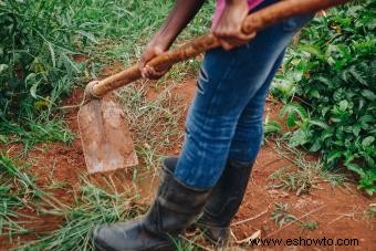 Cómo modificar el suelo arcilloso:4 pasos para el éxito en la jardinería