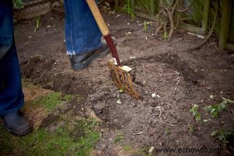 Cómo modificar el suelo arcilloso:4 pasos para el éxito en la jardinería