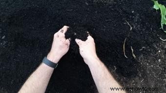 Cómo modificar el suelo arcilloso:4 pasos para el éxito en la jardinería