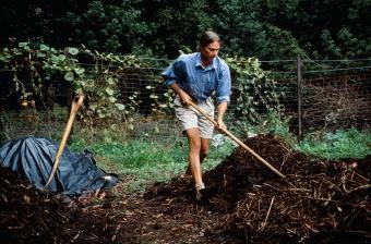 Cómo modificar el suelo arcilloso:4 pasos para el éxito en la jardinería