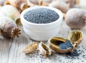 Guía Completa para Cosechar y Guardar Tus Propias Semillas: Paso a Paso