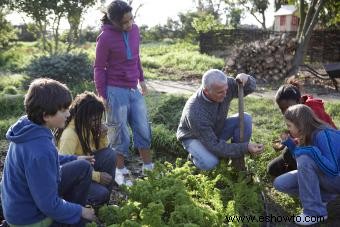 Cómo planificar un huerto escolar