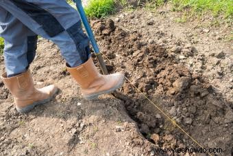 Cómo labrar la tierra sin cultivador