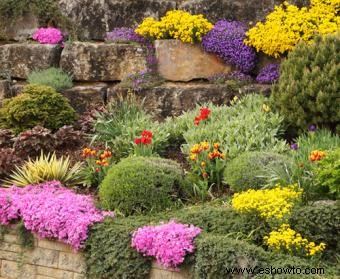 Plantas para usar en Rock Gardens