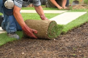 Reparación del jardín para la primavera