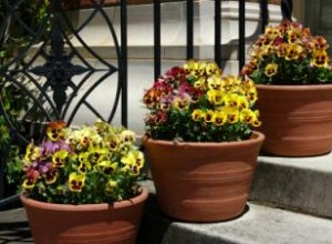 Ideas expertas para jardines en contenedores por estación: primavera, verano, otoño e invierno