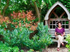 Cómo Obtener Revistas de Jardinería Gratuitas por Correo: Guía Completa y Confiable