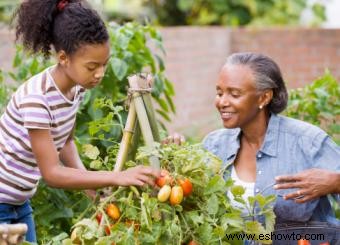 Zona de jardinería 6 del USDA