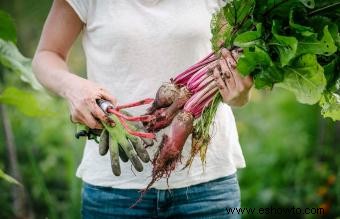 ¿Cuáles son los alimentos más fáciles de cultivar?