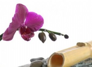 Fuentes de Bambú para Interiores: Crea un Oasis de Paz Zen en Tu Hogar