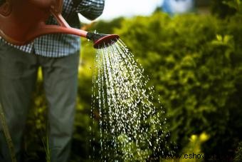 Consejos sencillos para el cultivo y el cuidado de las plantas con lunares