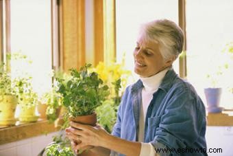 Técnicas de jardinería en interiores